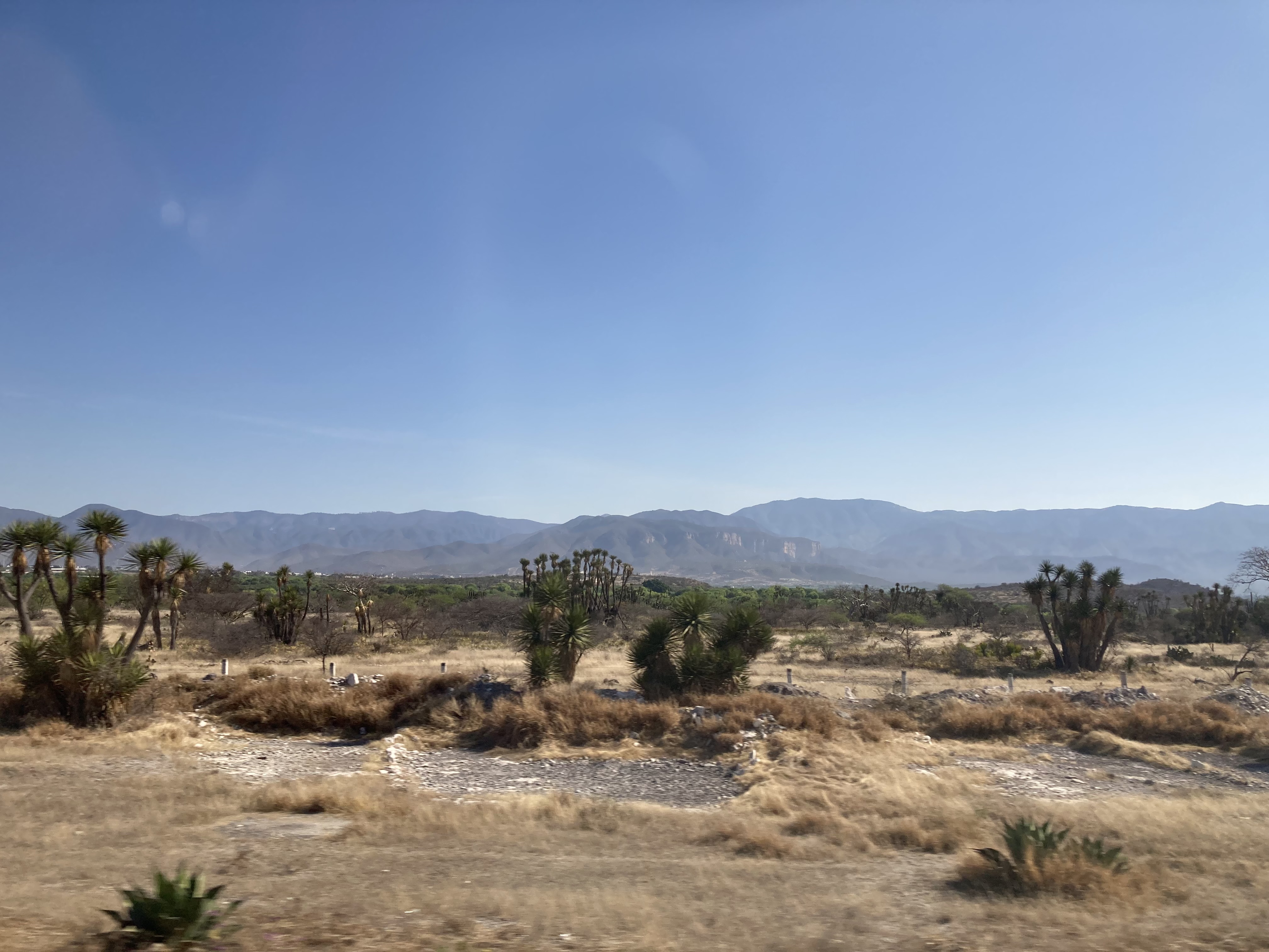 San Juan Raya Desert Landscape