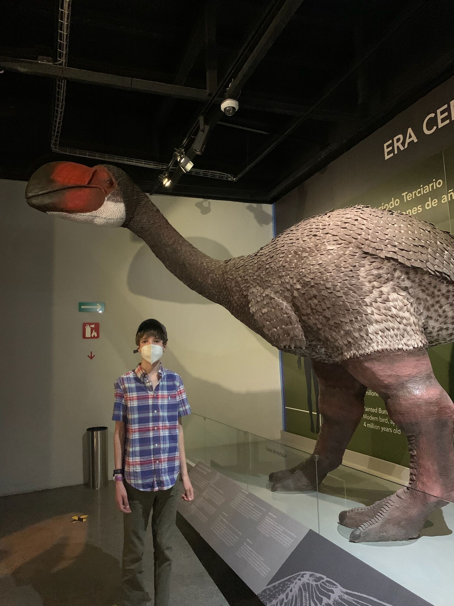 Museo de las Aves de México, Saltillo 2022