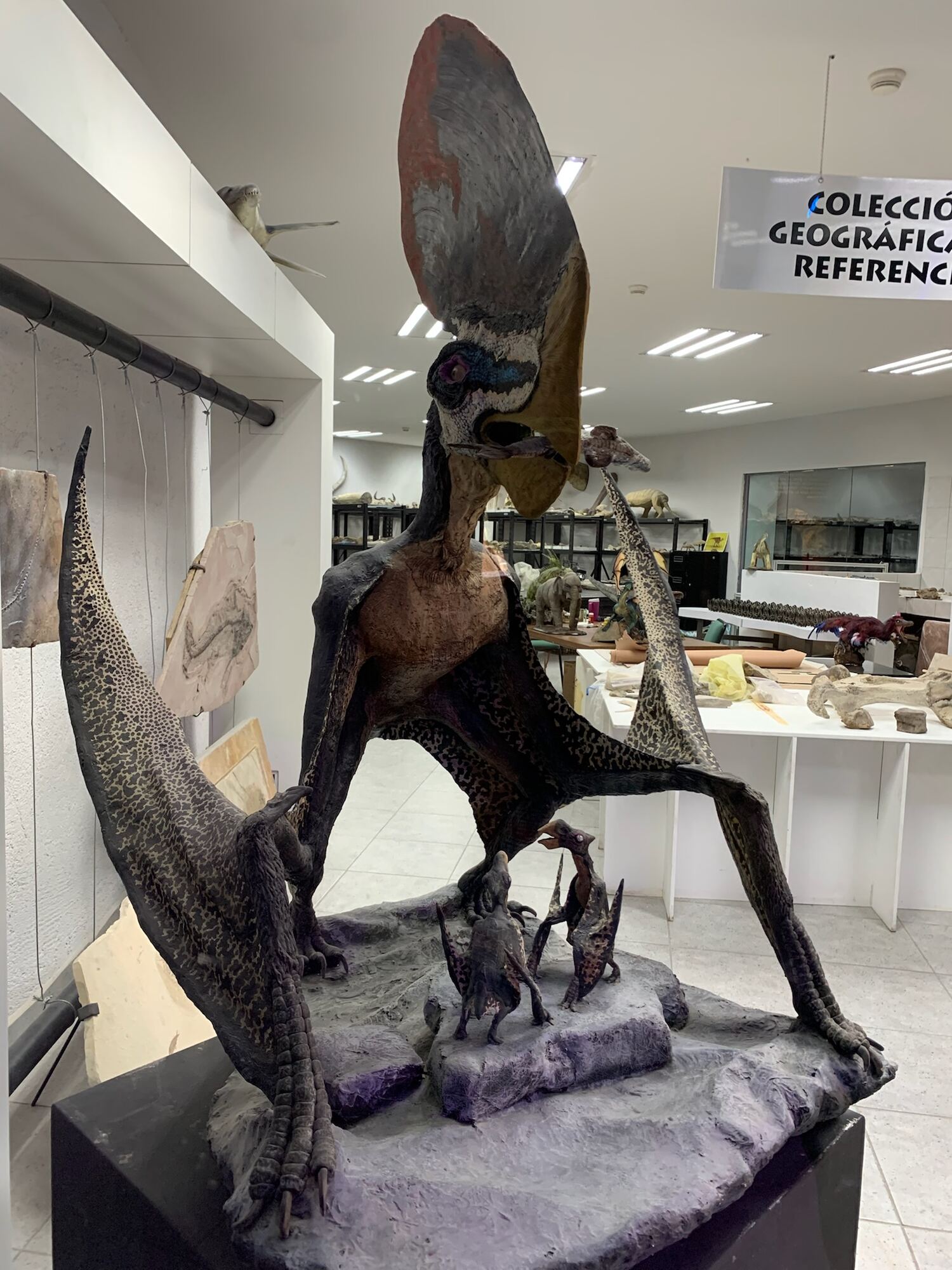 Museo del Desierto Workshop, 2022